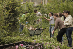 atelier-plantare10