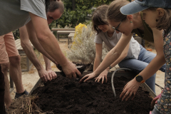 atelier-plantare11