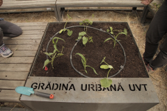 atelier-plantare13