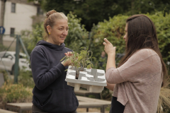 atelier-plantare2