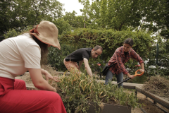 atelier-plantare4