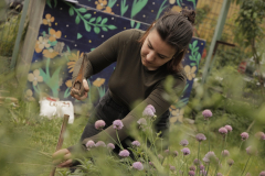 atelier-plantare7