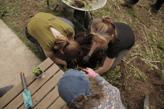 atelier-plantare9