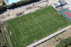 baza-costica-radulescu2