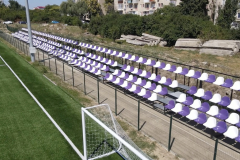 baza-costica-radulescu4