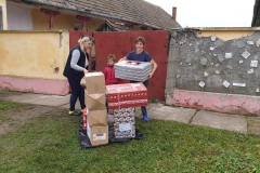 caravana-lions5