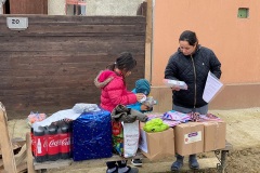 caravana-lions7