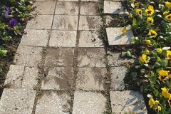 cimitirul-eroilor5