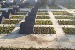 cimitirul-eroilor6