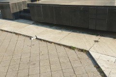 cimitirul-eroilor8