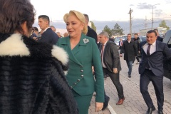 dancila-la-timisoara10