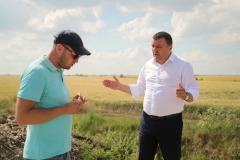 dobra1
