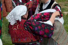 erasmus11