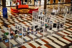 Expo_Splendoarea-Clipei-10