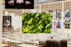 Expo_Splendoarea-Clipei-3