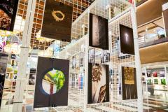 Expo_Splendoarea-Clipei-5