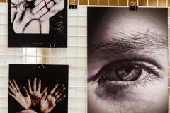 Expo_Splendoarea-Clipei-7
