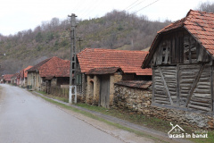 farasesti-3
