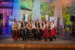 festivalul-etniilor-1