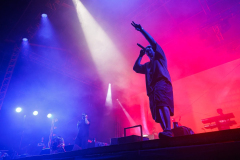 flight-festival14