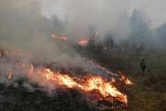 incendiu-tomesti4