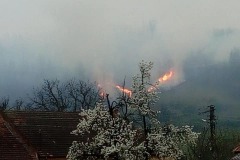 incendiu-tomesti5