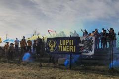 lupii-phoenix16
