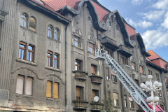palatul-dauerbach4