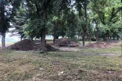 parcul-civic2