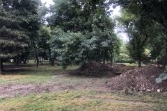 parcul-civic3