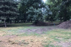 parcul-civic4