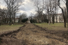 parcul-civic3