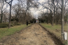parcul-civic6