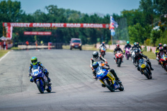 pascota5