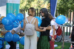 stiintescu6