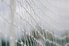 teren-de-sport-liebling1