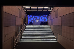 cinema-timis1