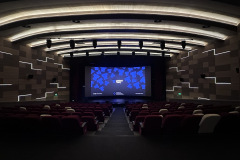 cinema-timis2