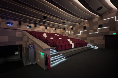 cinema-timis6
