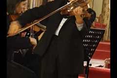 Violonist