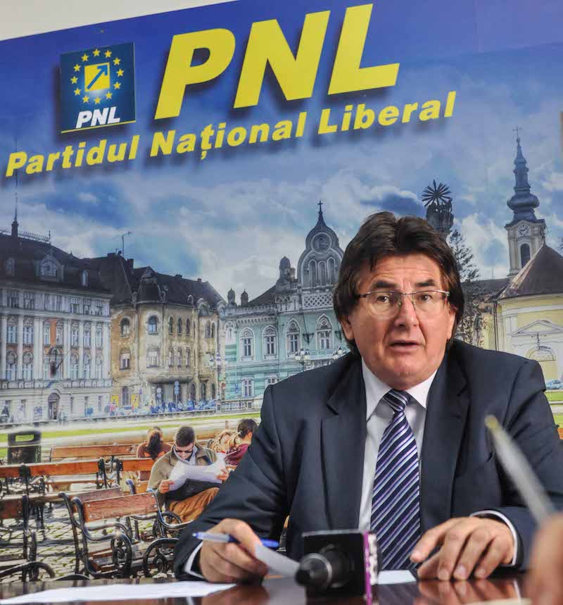 pnl timiș