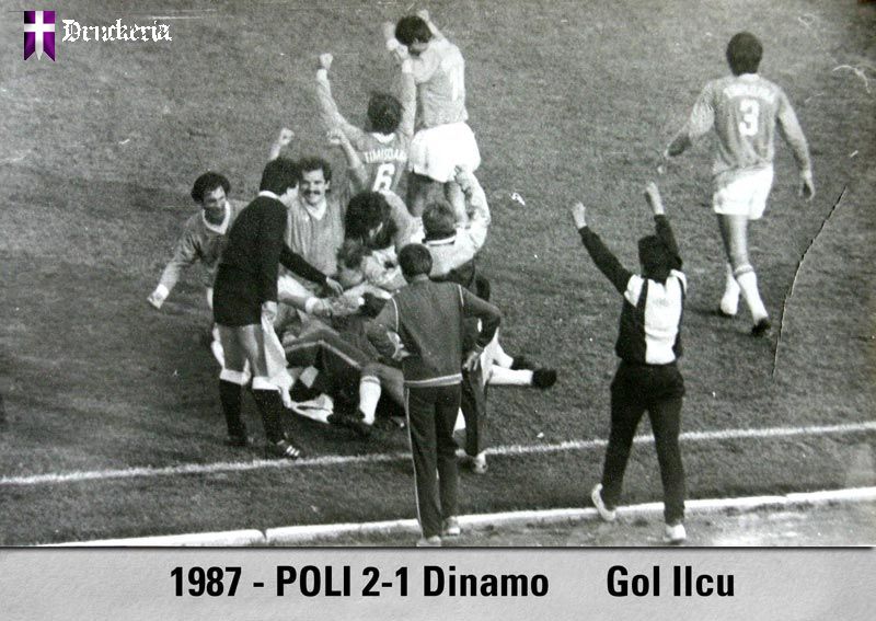 poli timișoara