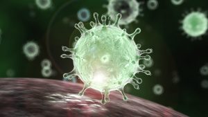 coronavirus