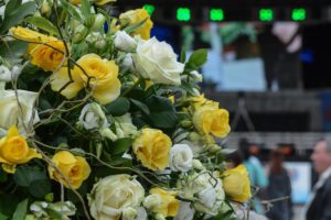 timfloralis