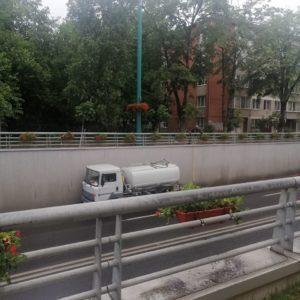 Horticultura
