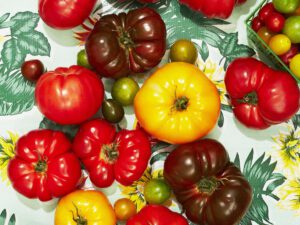 festivalul tomatelor