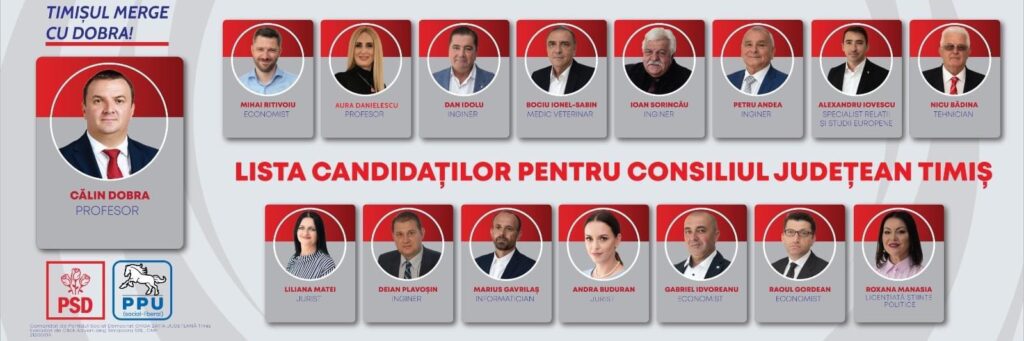 psd timiș