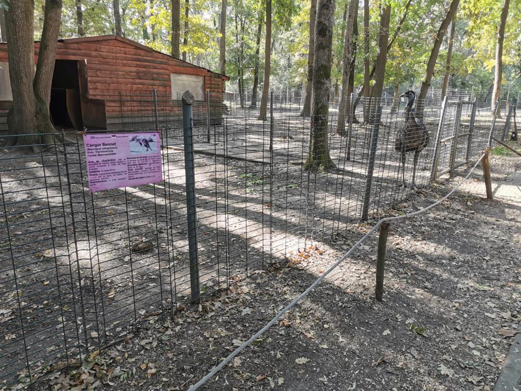 grădina zoologică