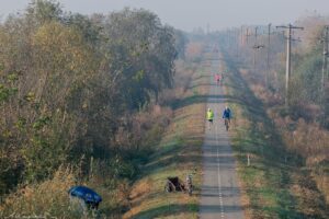 Timișoara City Marathon