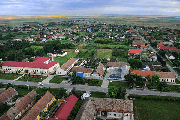 dudeștii noi
